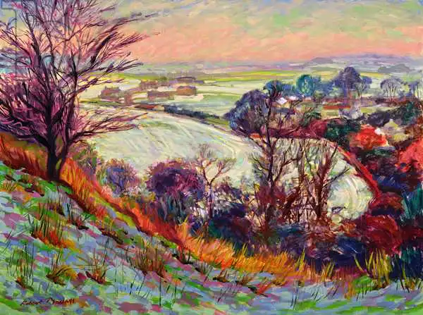 Tyndall, Robert: The Downs in Winter