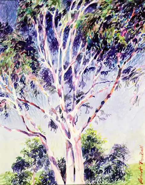 Tyndall, Robert: Gum Tree, Australia