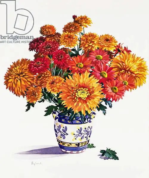 Ryland, Christophe: October Chrysanthemums