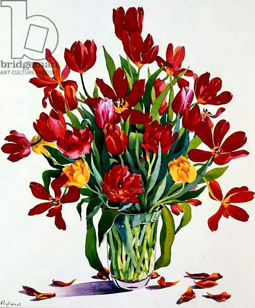 Ryland, Christophe: Tulips