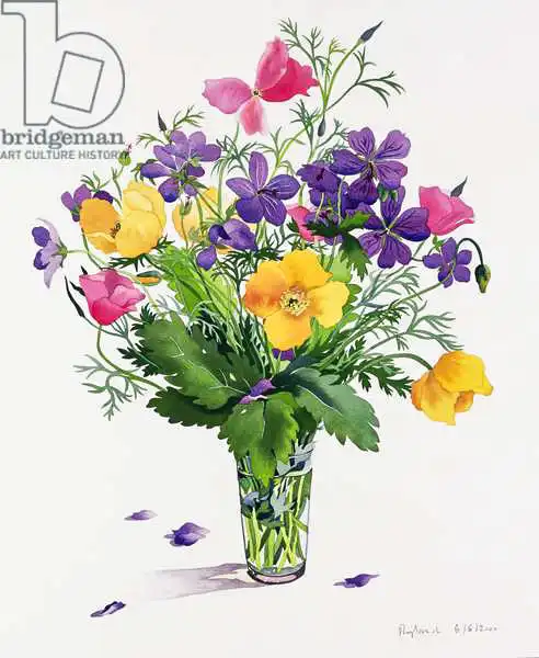 Ryland, Christophe: Poppies and Geraniums
