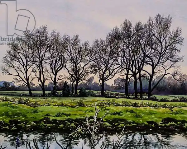 Ryland, Christophe: Winter Trees