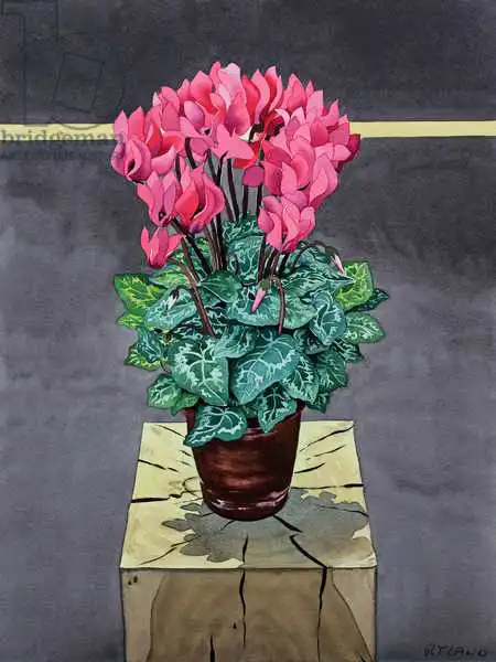 Ryland, Christophe: Still Life Cyclamen