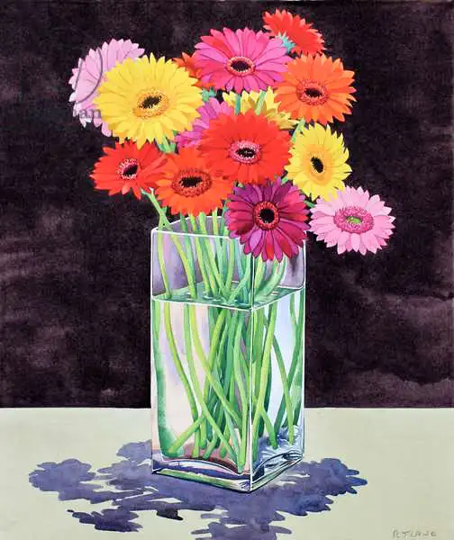 Ryland, Christophe: Gerberas