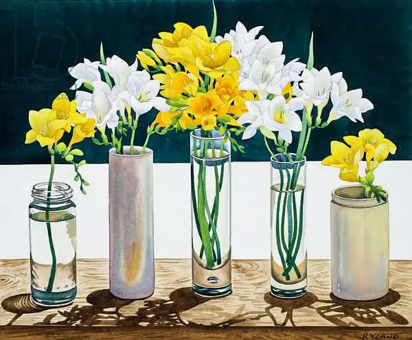 Ryland, Christophe: Still Life Freesias