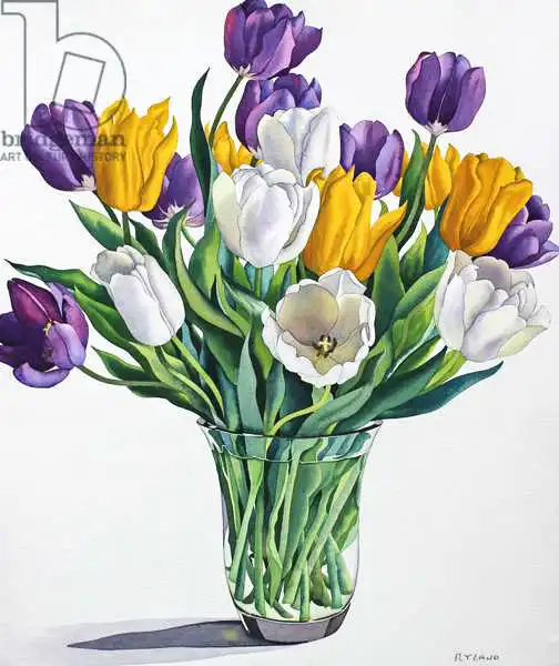 Ryland, Christophe: Tulips in Glass Vase