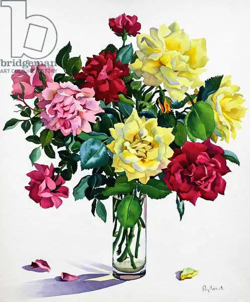 Ryland, Christophe: June Roses
