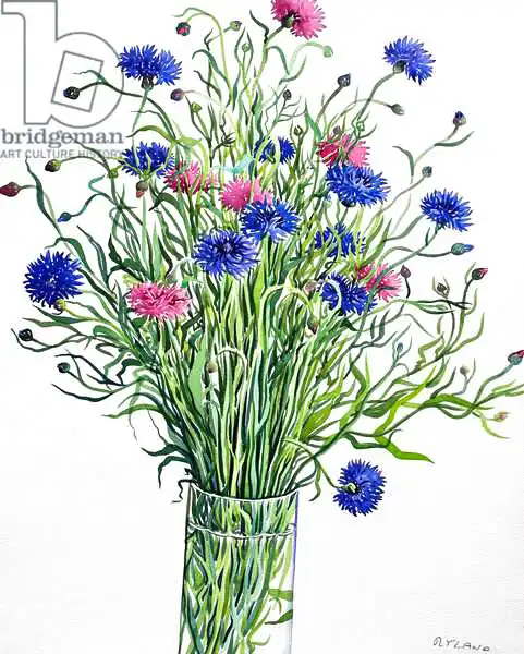 Ryland, Christophe: Cornflowers