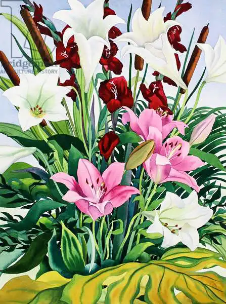 Ryland, Christophe: Lilies and Bullrushes