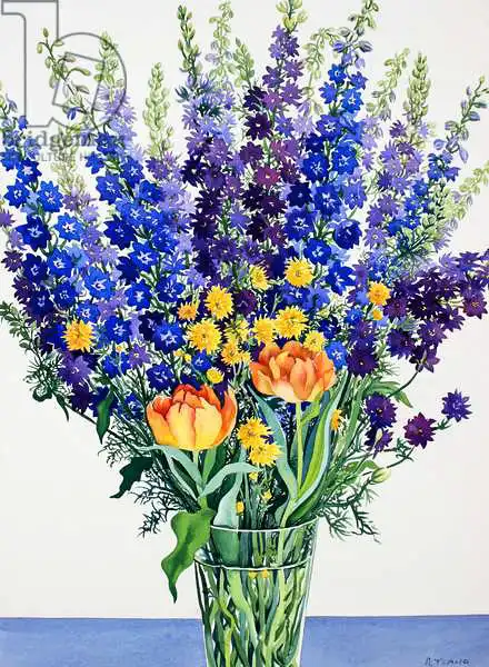 Ryland, Christophe: Larkspur and Delphiniums
