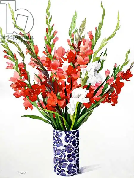Ryland, Christophe: Red and White Gladioli
