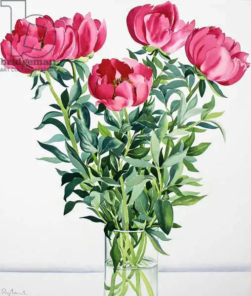 Ryland, Christophe: Peonies