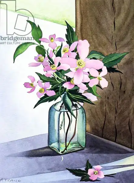 Ryland, Christophe: Still Life Pink Clematis