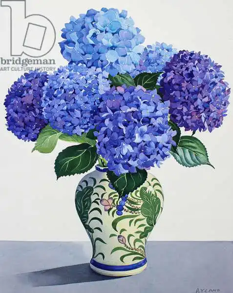 Ryland, Christophe: Blue Hydrangeas