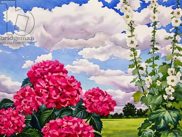 Ryland, Christophe: Flowers at the edge of a meadow