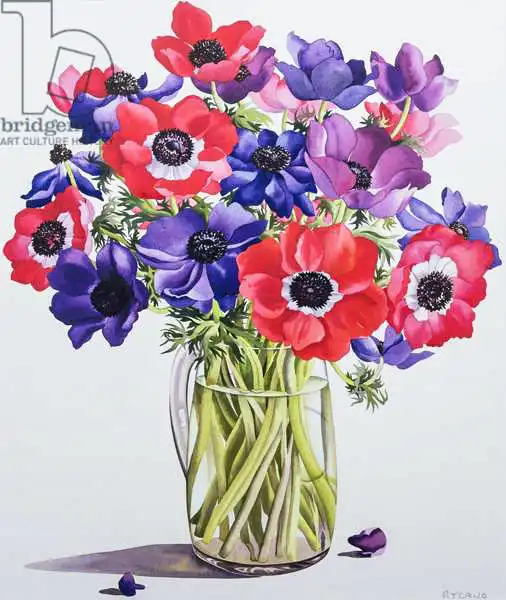 Ryland, Christophe: Anemones in a glass jug