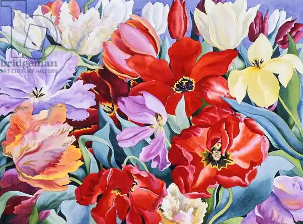 Ryland, Christophe: Massed Tulips