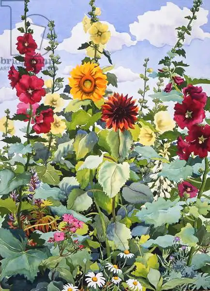 Ryland, Christophe: Hollyhocks and Sunflowers