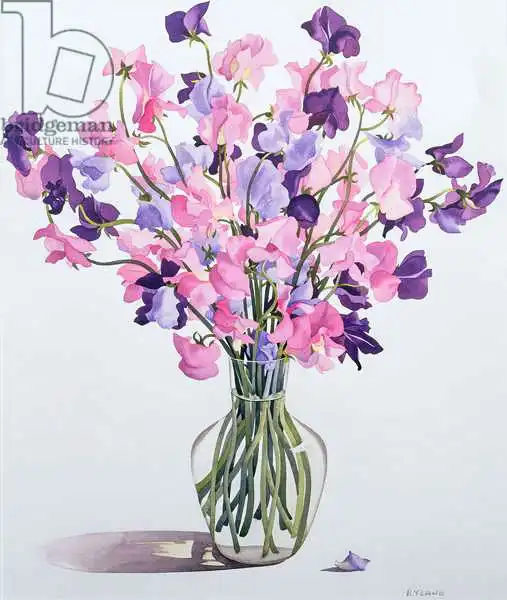Ryland, Christophe: Sweetpeas