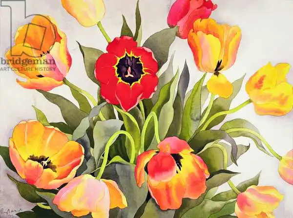 Ryland, Christophe: Orange and Red Tulips