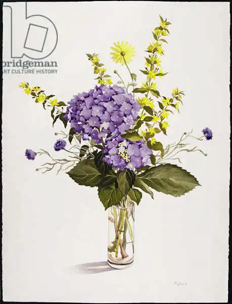 Ryland, Christophe: Blue Hydrangea with Yellow Loosestrife