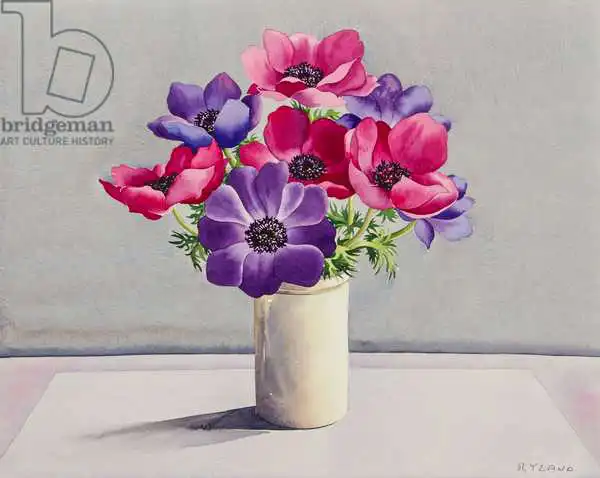 Ryland, Christophe: Anemones