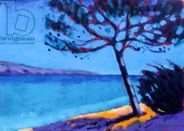 Hayward, Sar: Pine Trees