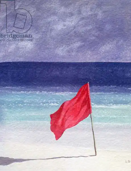 Seligman, Lincol: Beach Flag - Storm Warning