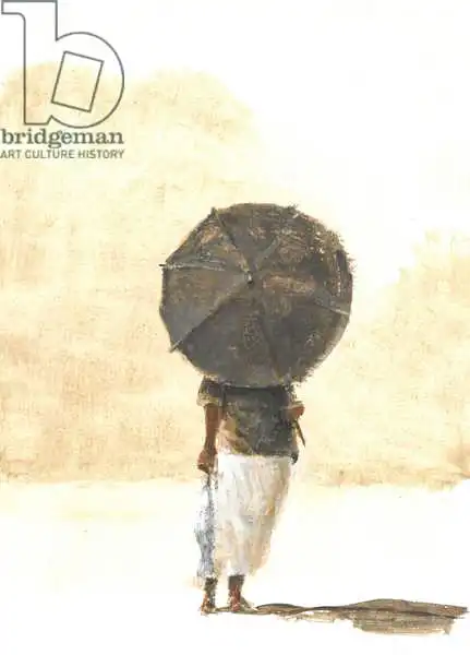 Seligman, Lincol: Umbrella and Fish 2