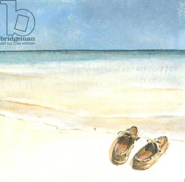 Seligman, Lincol: Zapatos de playa
