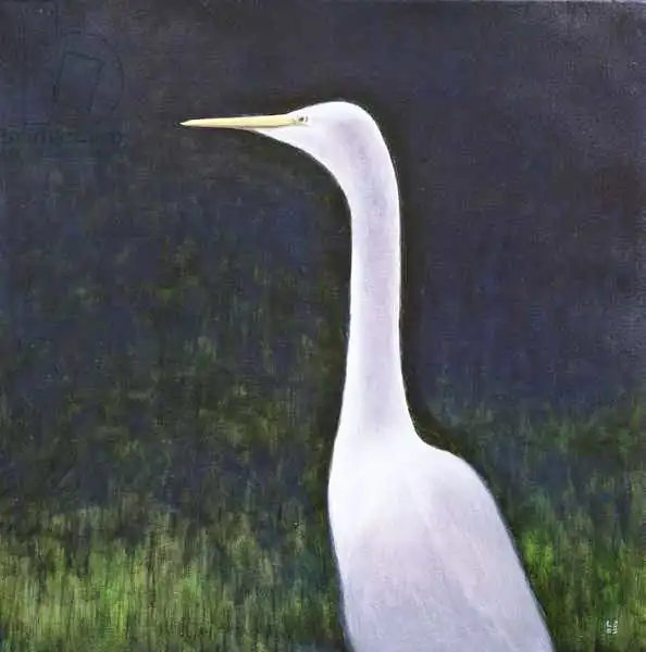 Seligman, Lincol: White Egret