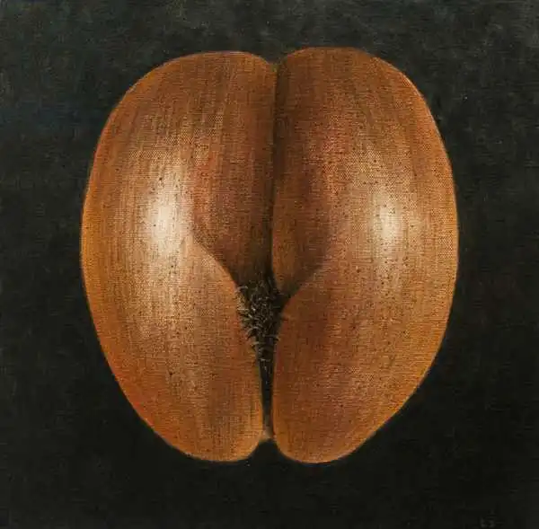 Seligman, Lincol: Coco de Mer