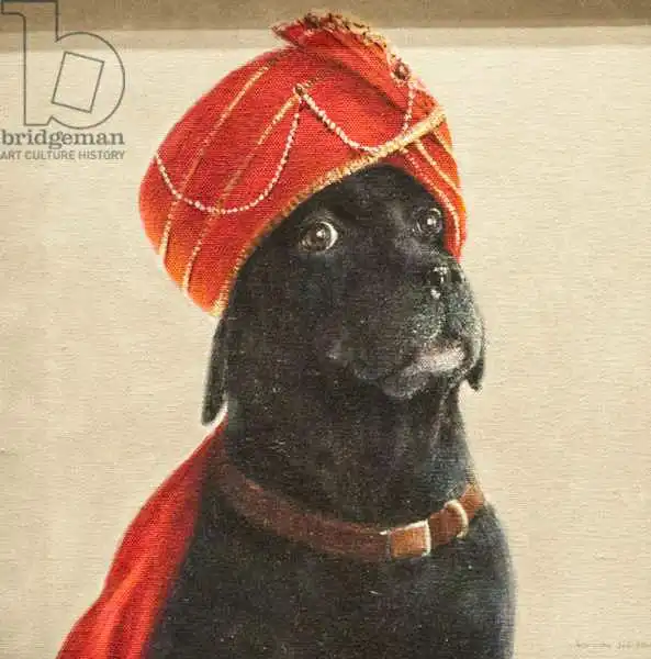 Seligman, Lincol: Maharaja riluttante