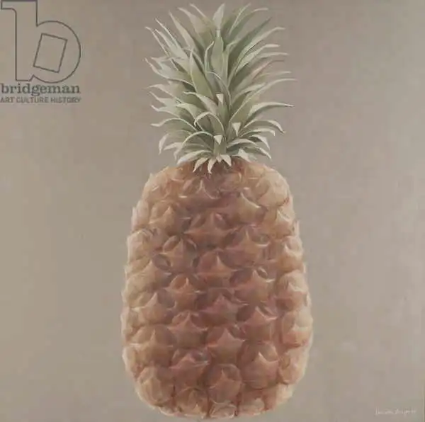 Seligman, Lincol: Ananas