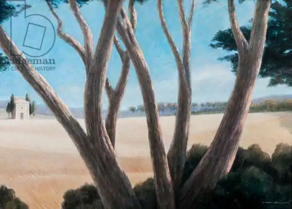 Seligman, Lincol: Pines near Pienza