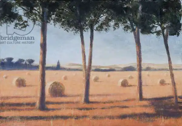 Seligman, Lincol: Hay Bales and Pines, Pienza