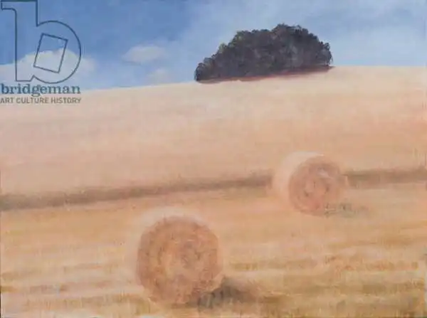 Seligman, Lincol: Two Hay Bales