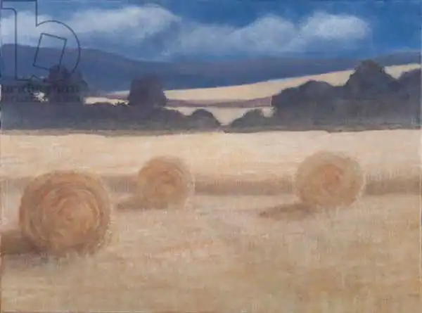 Seligman, Lincol: Two Hay Bales
