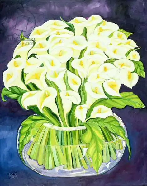 Shawa, Laila: Calla Lilies