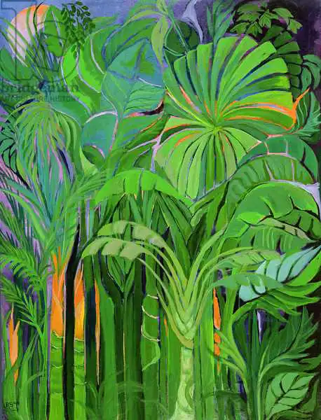 Shawa, Laila: Rain Forest, Malaysia