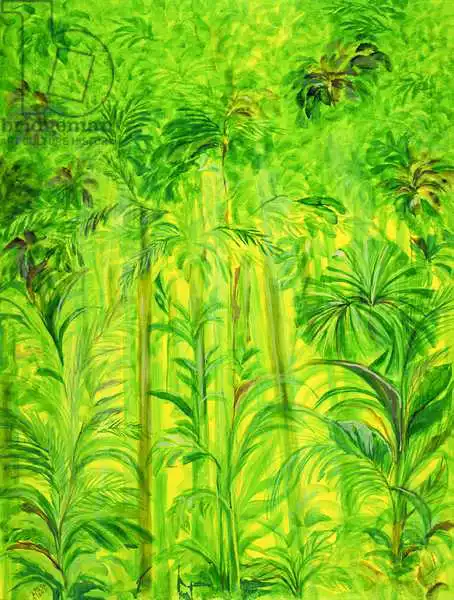 Shawa, Laila: Rain Forest, Malaysia