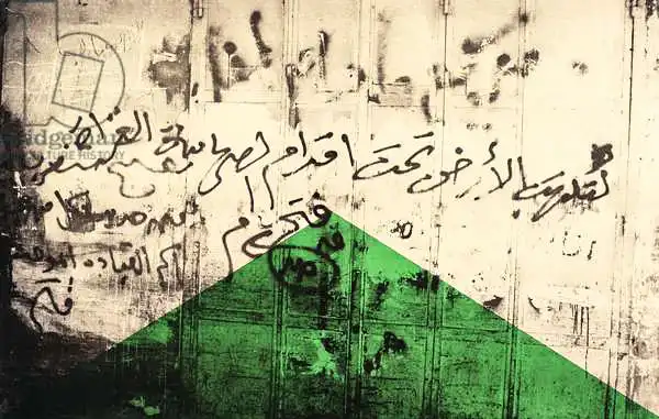 Shawa, Laila: Flag I