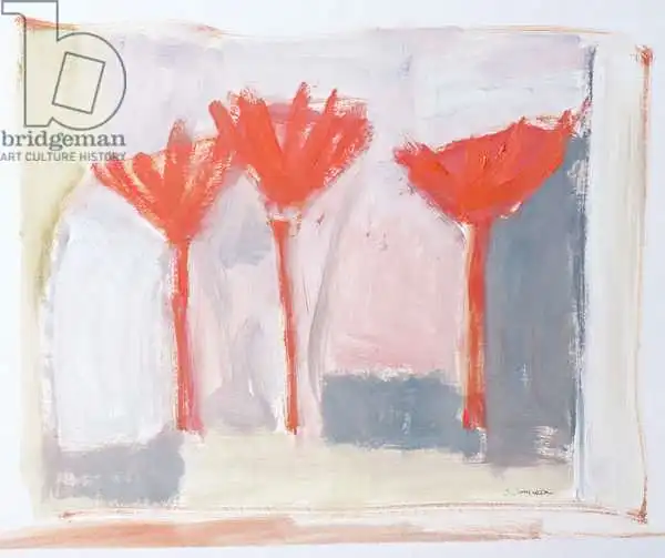 Jamieson, Sue: Red Trees