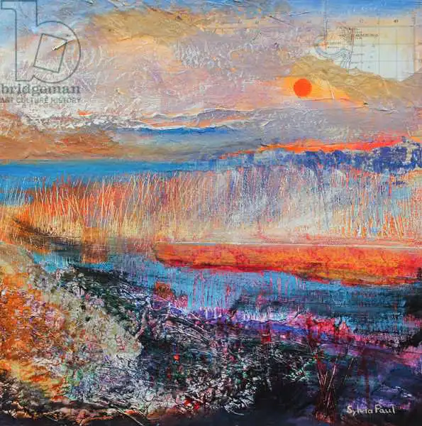 Paul, Sylvi: Marsh Sunset