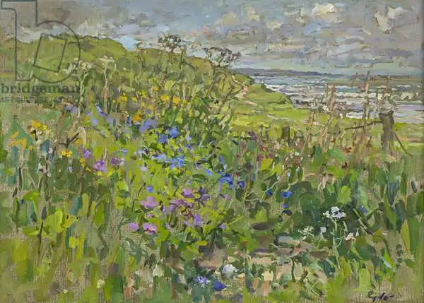 Ryder, Susa: Headland Flowers near Berwick