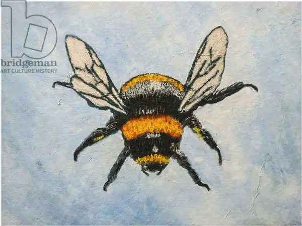 Thompson-Engels, Sara: Bumble bee