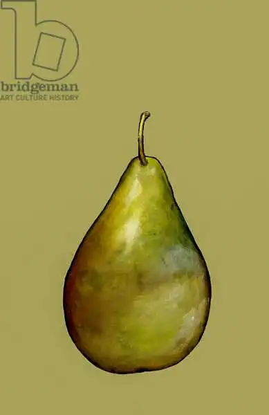 Thompson-Engels, Sara: Pear