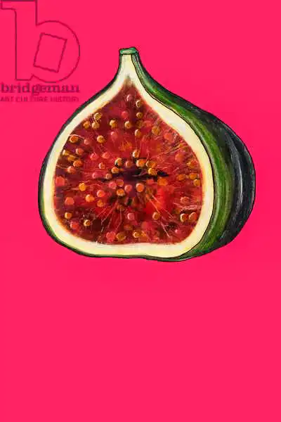 Thompson-Engels, Sara: Fig
