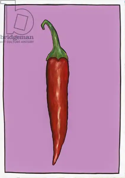 Thompson-Engels, Sara: Chilli pepper purple