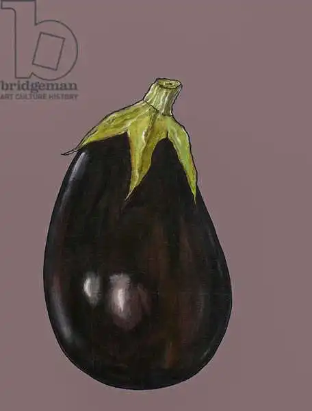 Thompson-Engels, Sara: Aubergine